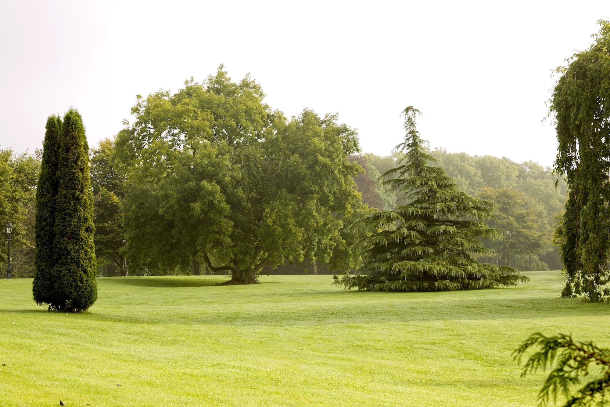 Moyvalley Hotel & Golf Resort Buitenkant foto